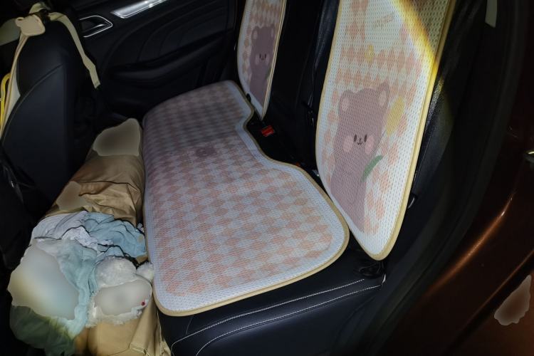 Used Roewe RX3 2020 1.6L CVT 4G Connected Ultra-Cool Flagship Edition Left Rear Seat