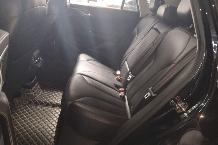 Used Roewe RX5 2023 1.5T Luxury Sliding-Screen Version Interior 4