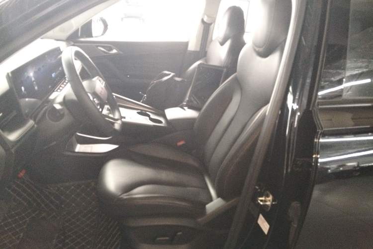 Used Roewe RX5 2023 1.5T Luxury Sliding-Screen Version Left Front Seat