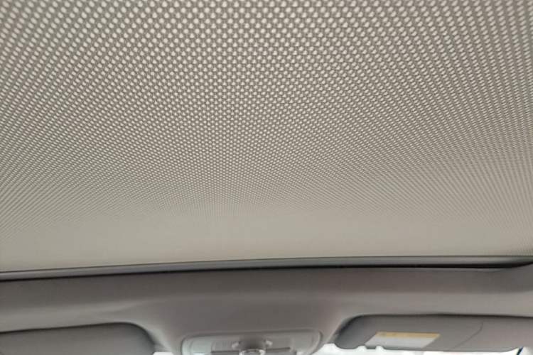 Used Roewe RX5 2016 20T Two-Wheel Drive Manual Flagship Edition Headliner