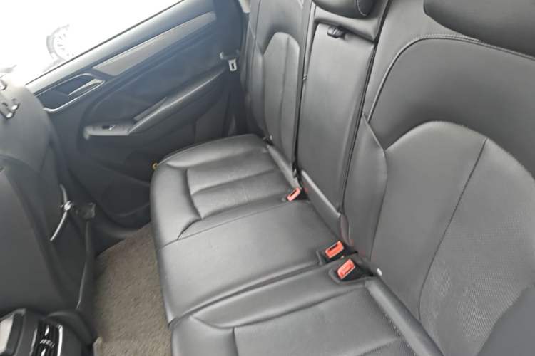 Used Roewe RX5 2016 20T Two-Wheel Drive Automatic Flagship Edition Left Rear Seat