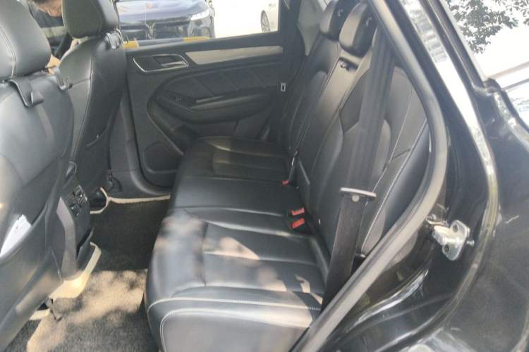 Used Roewe RX5 2016 20T Two-Wheel Drive Automatic Flagship Edition Left Rear Seat