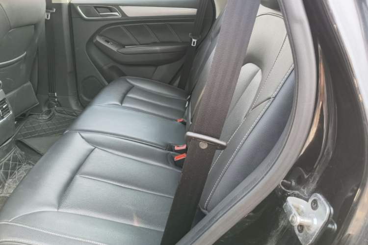 Used Roewe RX5 2016 20T Two-Wheel Drive Automatic Flagship Edition Left Rear Seat