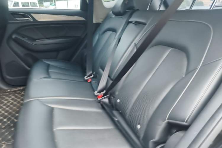 Used Roewe RX5 2016 20T Two-Wheel Drive Automatic Flagship Edition Left Rear Seat