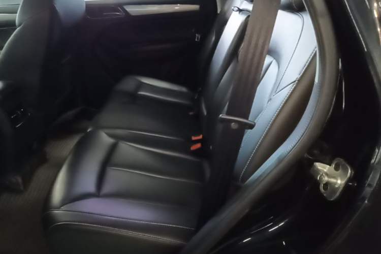 Used Roewe RX5 2016 20T Two-Wheel Drive Automatic Flagship Edition Left Rear Seat
