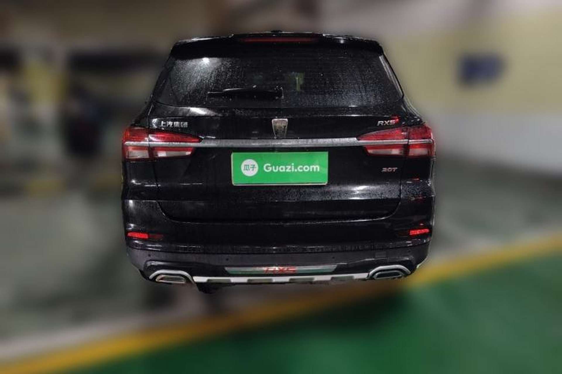 Used Roewe RX5 2016 20T Two-Wheel Drive Automatic Internet Smart Edition Rear