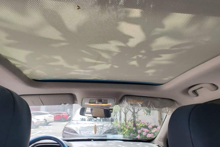 Used Roewe RX5 2016 20T Two-Wheel Drive Automatic Internet Smart Edition Headliner