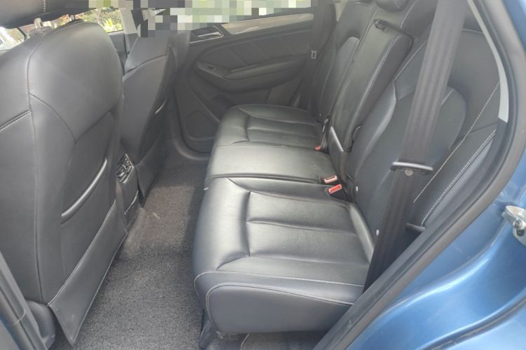 Used Roewe RX5 2016 20T Two-Wheel Drive Automatic Flagship Edition Left Rear Seat