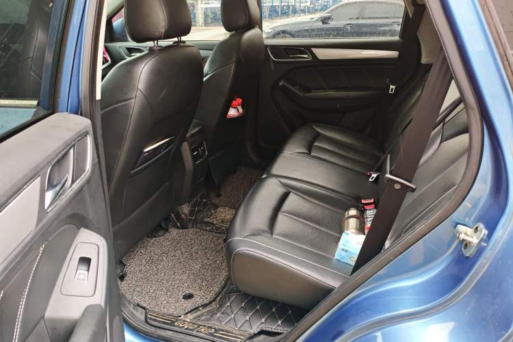 Used Roewe RX5 2016 20T Two-Wheel Drive Automatic Internet Smart Edition Left Rear Seat