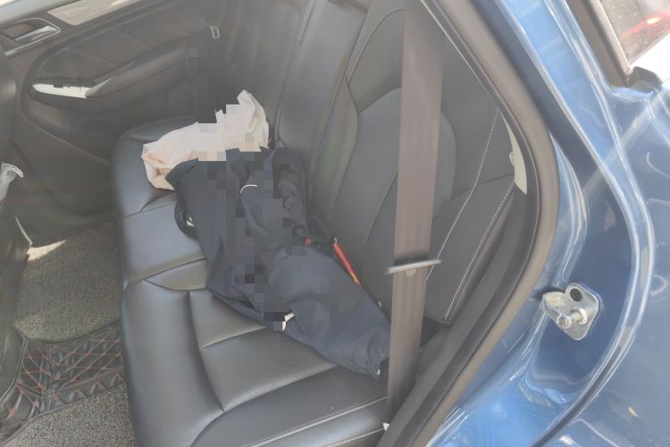 Used Roewe RX5 2016 20T Two-Wheel Drive Automatic Internet Smart Edition Left Rear Seat
