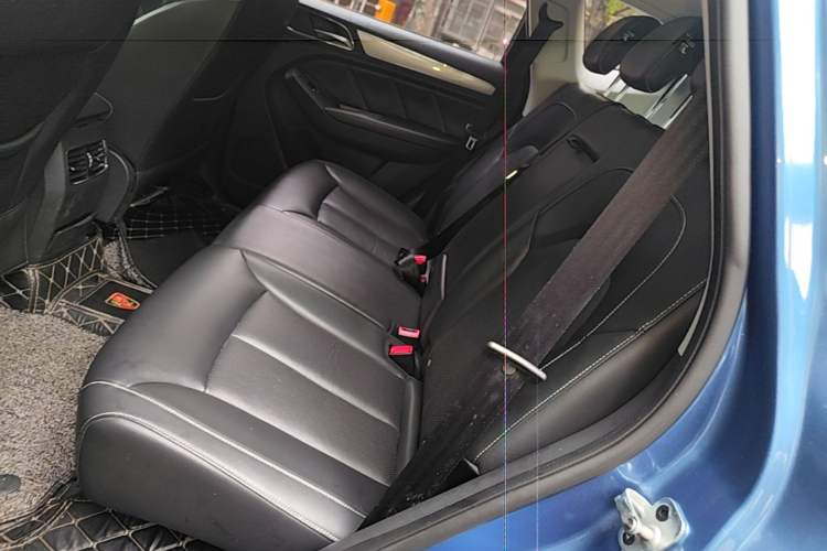 Used Roewe RX5 2016 20T Two-Wheel Drive Automatic Flagship Edition Left Rear Seat