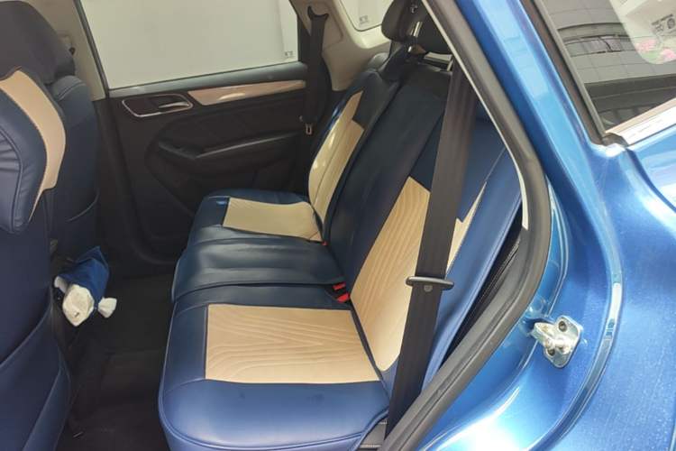 Used Roewe RX5 2016 20T Two-Wheel Drive Automatic Internet Smart Edition Left Rear Seat