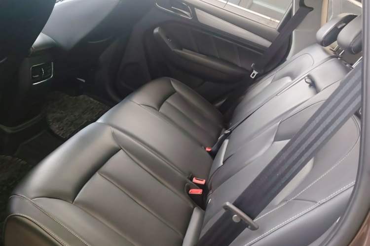 Used Roewe RX5 2016 20T Two-Wheel Drive Automatic Flagship Edition Left Rear Seat