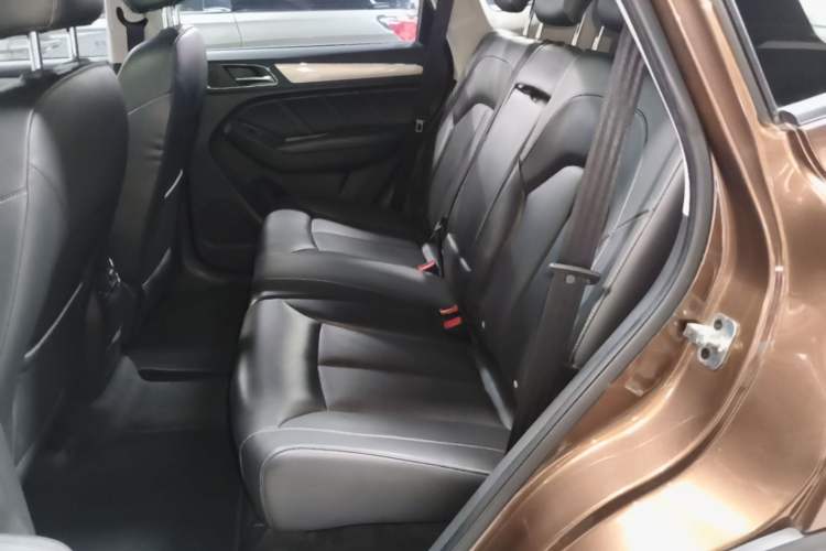 Used Roewe RX5 2016 20T Two-Wheel Drive Automatic Internet Smart Edition Left Rear Seat