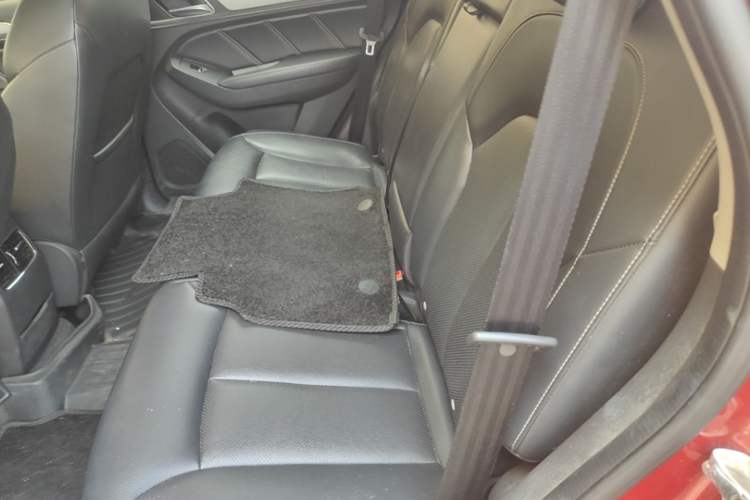 Used Roewe RX5 2016 20T Two-Wheel Drive Automatic Internet Smart Edition Left Rear Seat