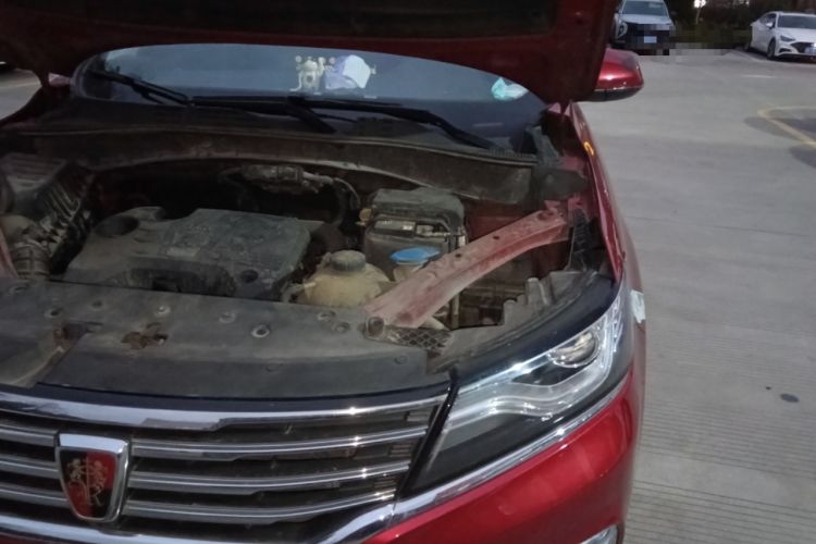 Used Roewe RX5 2016 20T Two-Wheel Drive Automatic Internet Smart Edition Engine Bay Left