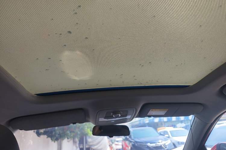 Used Roewe RX5 2016 20T Two-Wheel Drive Automatic Internet Smart Edition Headliner