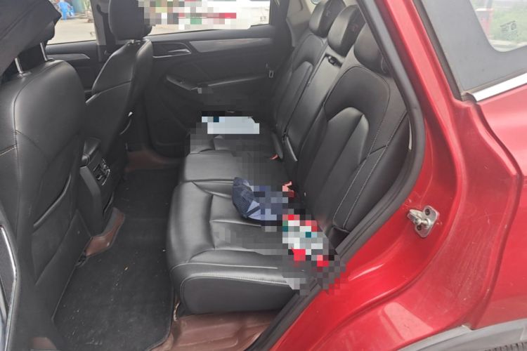 Used Roewe RX5 2016 20T Two-Wheel Drive Automatic Internet Smart Edition Left Rear Seat