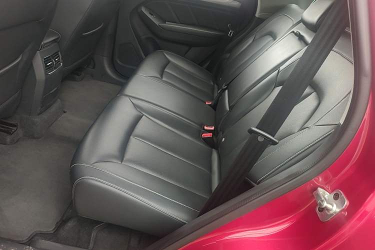 Used Roewe RX5 2016 20T Two-Wheel Drive Automatic Internet Smart Edition Left Rear Seat