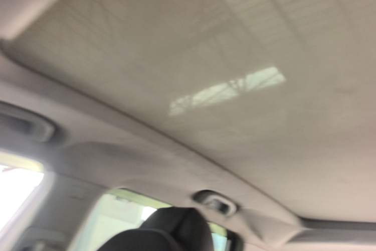 Used Roewe RX5 2016 20T Two-Wheel Drive Automatic Internet Smart Edition Headliner