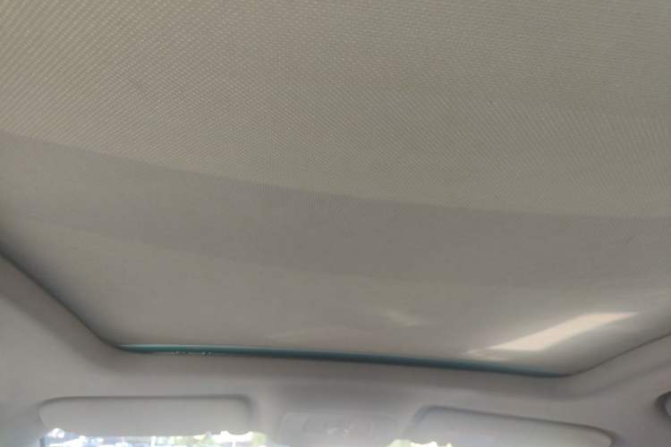 Used Roewe RX5 2016 20T Two-Wheel Drive Manual Flagship Edition Headliner
