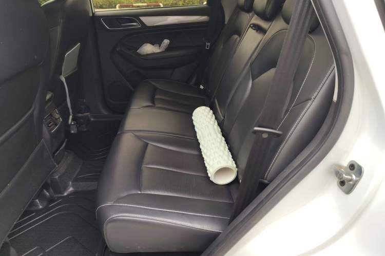 Used Roewe RX5 2016 20T Two-Wheel Drive Automatic Internet Smart Edition Left Rear Seat