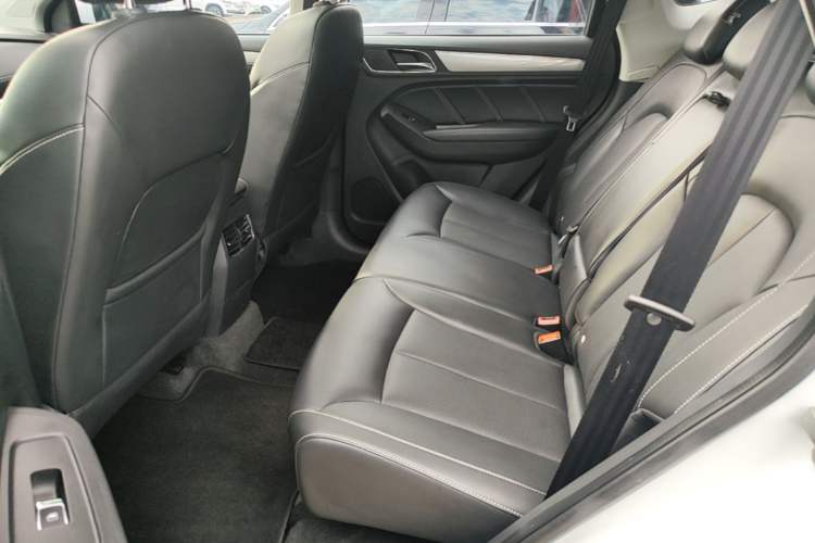 Used Roewe RX5 2016 20T Two-Wheel Drive Automatic Internet Smart Edition Left Rear Seat