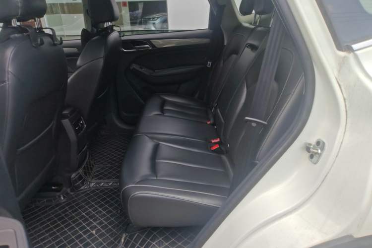 Used Roewe RX5 2016 20T Two-Wheel Drive Automatic Internet Smart Edition Left Rear Seat