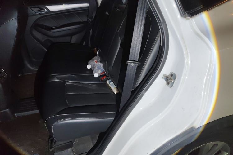 Used Roewe RX5 2016 20T Two-Wheel Drive Automatic Flagship Edition Left Rear Seat