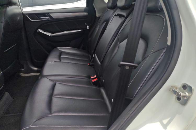 Used Roewe RX5 2016 20T Two-Wheel Drive Automatic Internet Smart Edition Left Rear Seat