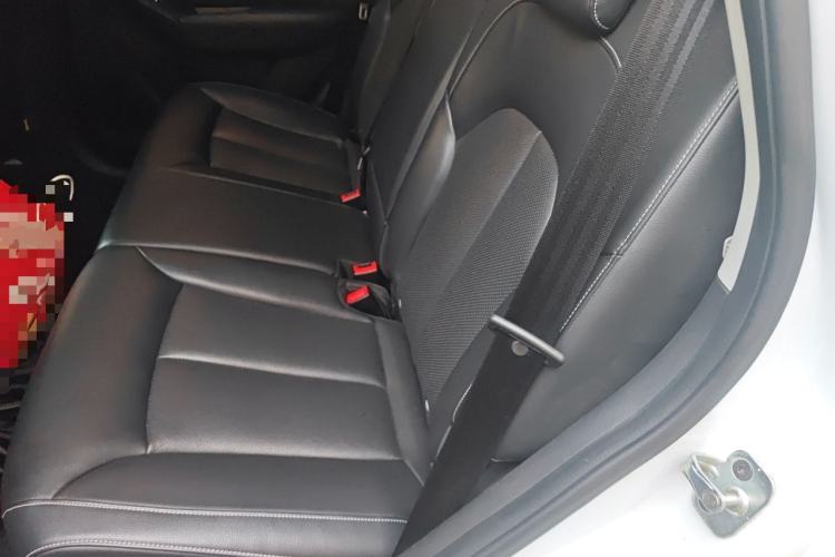 Used Roewe RX5 2016 20T Two-Wheel Drive Automatic Flagship Edition Left Rear Seat