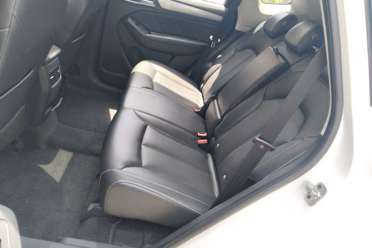 Used Roewe RX5 2016 20T Two-Wheel Drive Automatic Internet Smart Edition Left Rear Seat