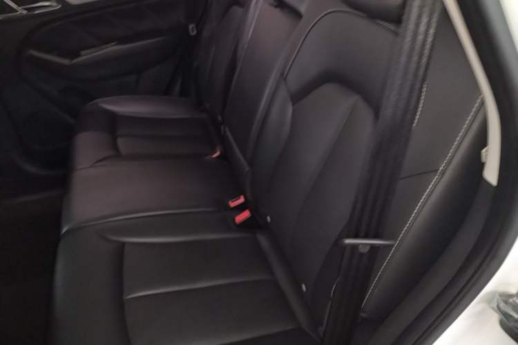 Used Roewe RX5 2016 20T Two-Wheel Drive Automatic Internet Smart Edition Left Rear Seat