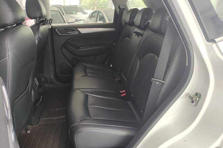 Used Roewe RX5 2016 20T Two-Wheel Drive Automatic Internet Smart Edition Left Rear Seat