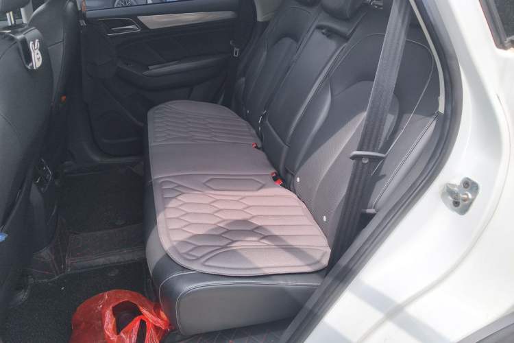 Used Roewe RX5 2016 20T Two-Wheel Drive Automatic Flagship Edition Left Rear Seat
