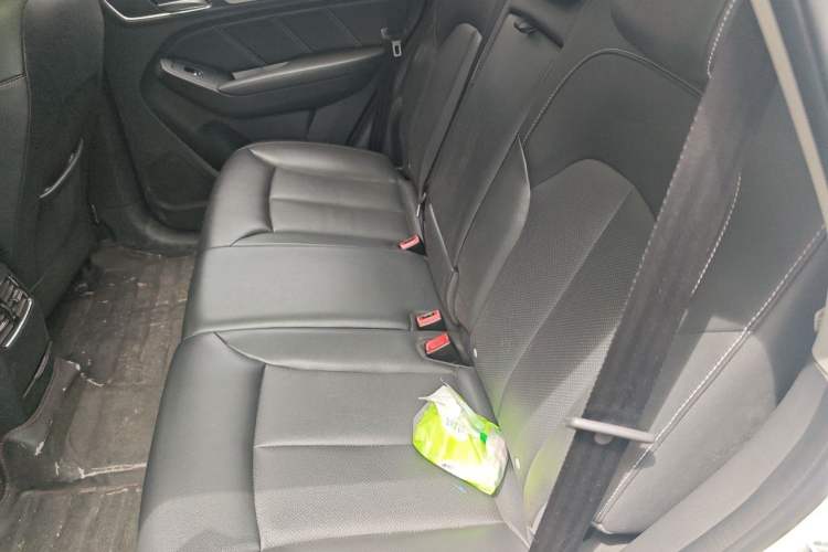 Used Roewe RX5 2016 20T Two-Wheel Drive Automatic Internet Smart Edition Left Rear Seat