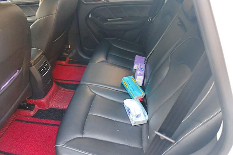 Used Roewe RX5 2016 30T Two-Wheel Drive Automatic Internet Smart Edition Left Rear Seat