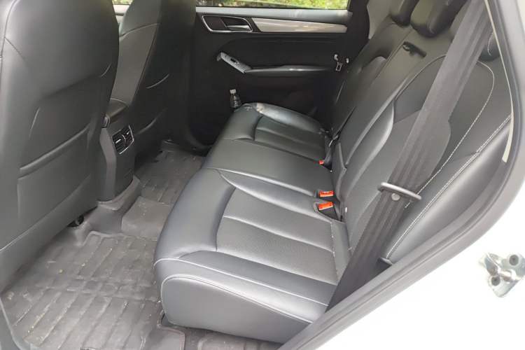 Used Roewe RX5 2016 20T Two-Wheel Drive Automatic Flagship Edition Left Rear Seat