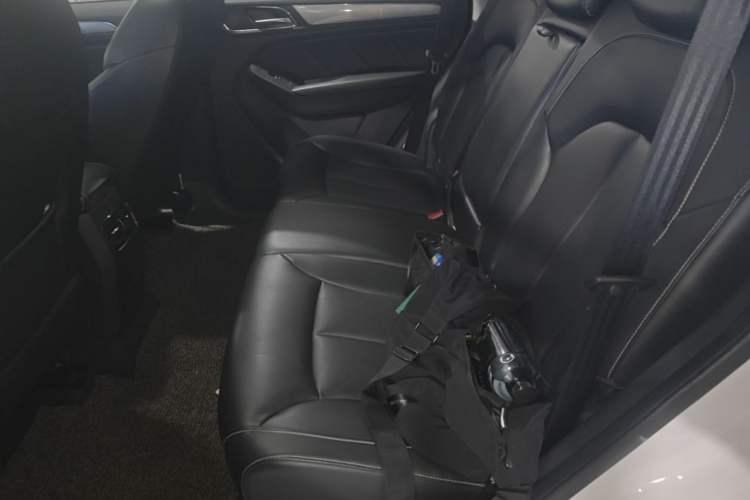 Used Roewe RX5 2016 20T Two-Wheel Drive Automatic Flagship Edition Left Rear Seat