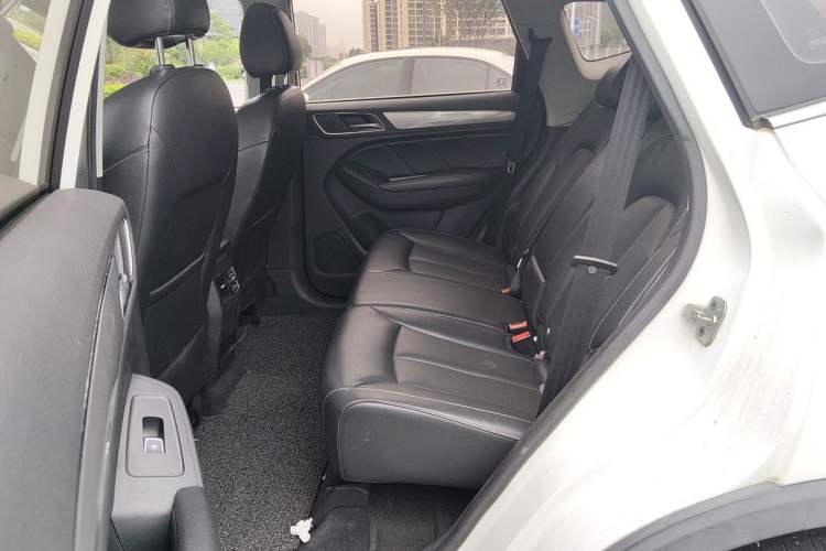 Used Roewe RX5 2016 20T Two-Wheel Drive Automatic Internet Smart Edition Left Rear Seat