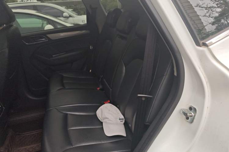 Used Roewe RX5 2016 20T Two-Wheel Drive Automatic Internet Smart Edition Left Rear Seat