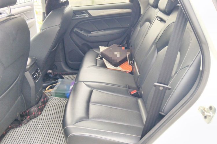 Used Roewe RX5 2016 20T Two-Wheel Drive Automatic Flagship Edition Left Rear Seat