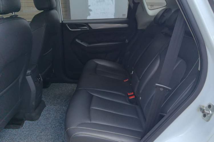 Used Roewe RX5 2016 20T Two-Wheel Drive Automatic Internet Smart Edition Left Rear Seat