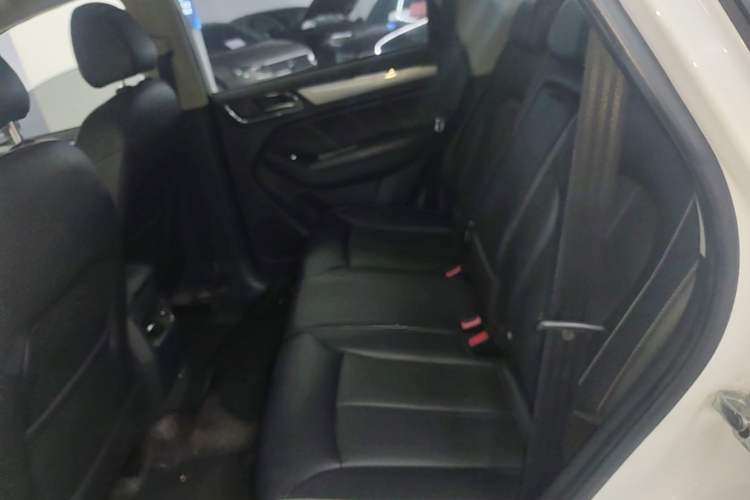 Used Roewe RX5 2016 20T Two-Wheel Drive Automatic Flagship Edition Left Rear Seat