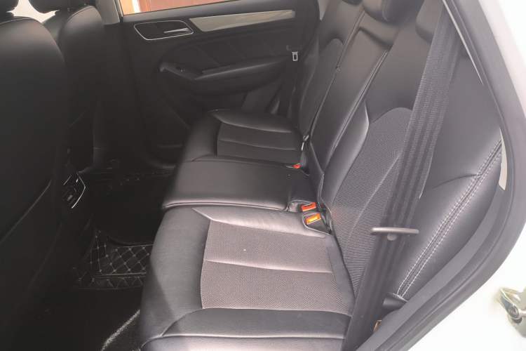 Used Roewe RX5 2016 20T Two-Wheel Drive Automatic Internet Smart Edition Left Rear Seat