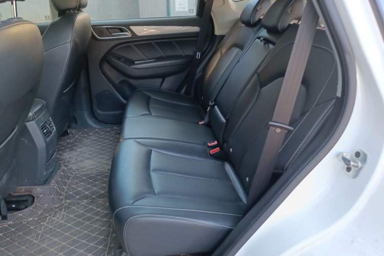 Used Roewe RX5 2016 20T Two-Wheel Drive Automatic Internet Smart Edition Left Rear Seat