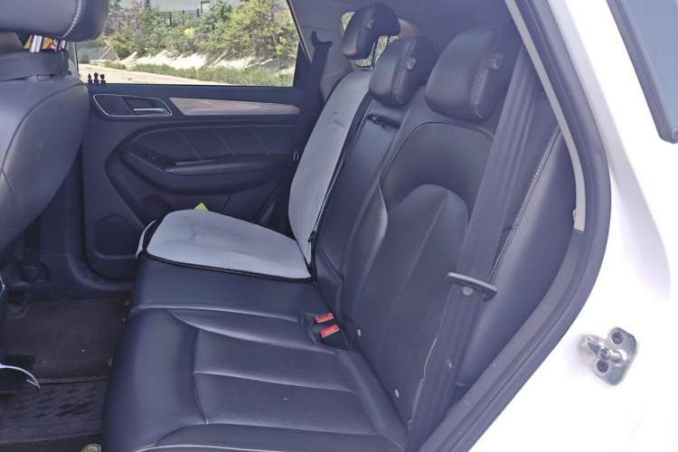 Used Roewe RX5 2016 20T Two-Wheel Drive Automatic Internet Smart Edition Left Rear Seat