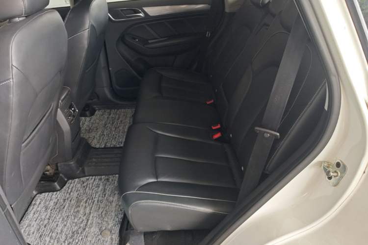Used Roewe RX5 2016 30T Two-Wheel Drive Automatic Internet Smart Edition Left Rear Seat