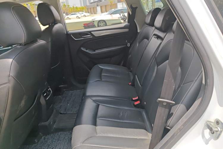 Used Roewe RX5 2016 20T Two-Wheel Drive Automatic Flagship Edition Left Rear Seat
