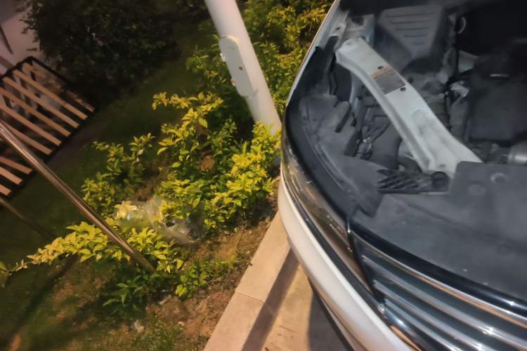Used Roewe RX5 2016 20T Two-Wheel Drive Automatic Internet Smart Edition Right Front Headlight